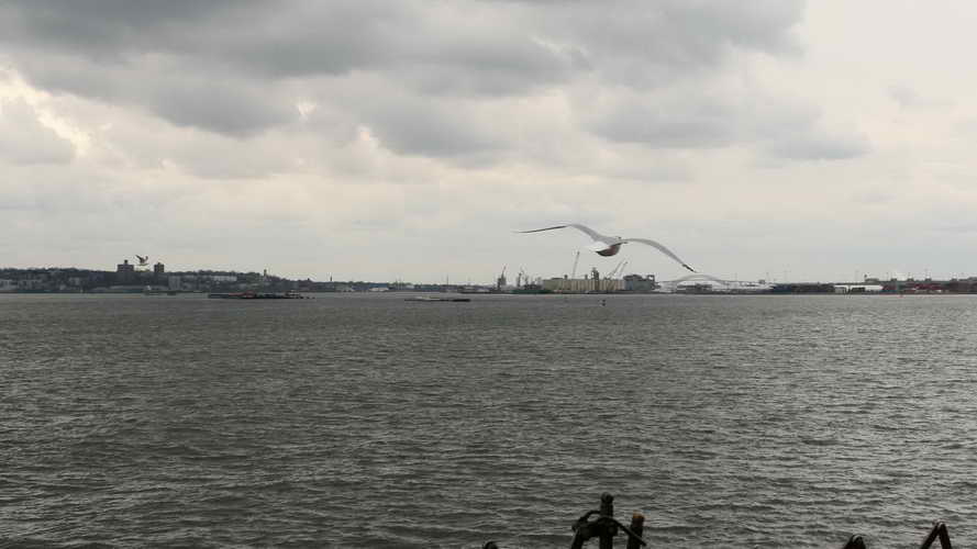 NYC_2020-02-02 13-12-39_P1090408